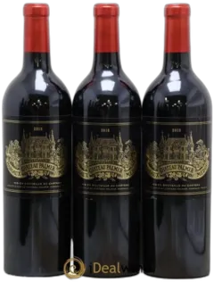 vue du vin Château Palmer