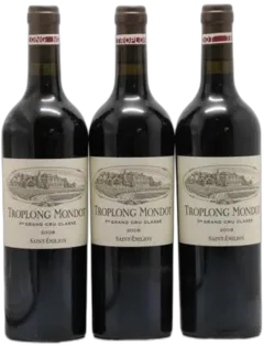 photo du vin Troplong Mondot