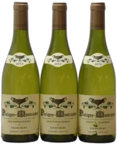 photo du vin Les Enseignères