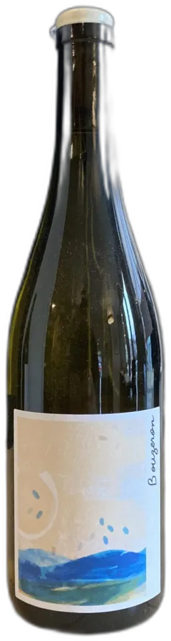 vue du vin Bouzeron 2023