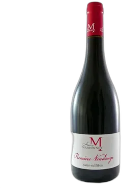 photo du vin Touraine Gamay Première Vendange Henry Marionnet