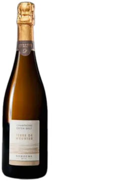 vue du vin Dehours "Terre de Meunier" les Côtes" Extra Brut