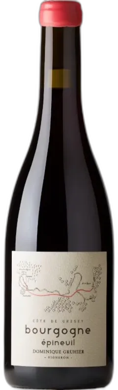 vue du vin Côte de Grisey