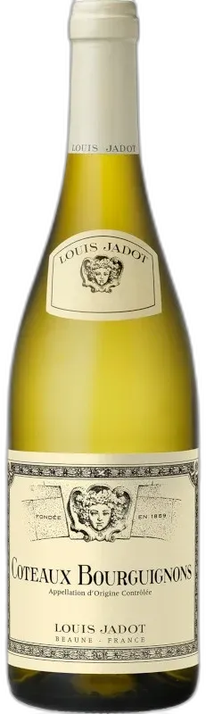 illustration du vin Coteaux Bourguignons Louis Jadot