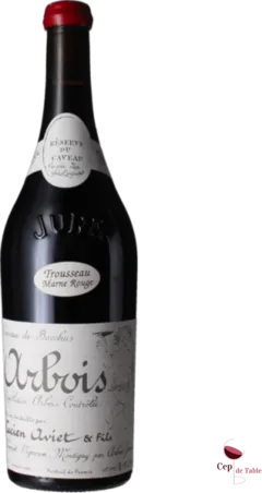 vue du vin Trousseau Marne Rouge