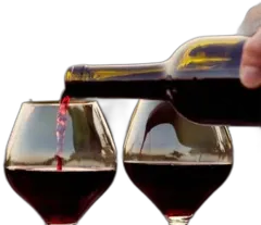 image du vin Château Cantemerle