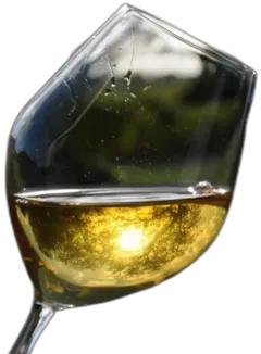 aperçu du vin Château d’Yquem