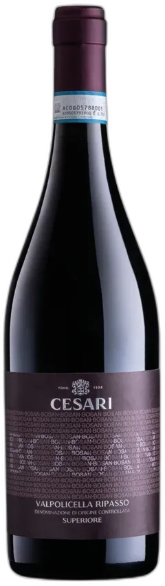 illustration du vin Valpolicella Ripasso Superiore Doc Bosan Gerardo Cesari 2020