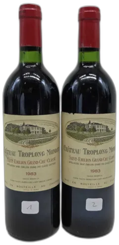 photo du vin Troplong Mondot