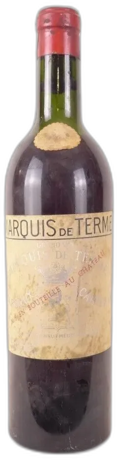 vue du vin Marquis de Terme
