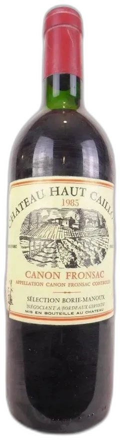 vue du vin Château Haut Caillou