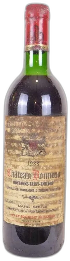 vue du vin Château Bonneau