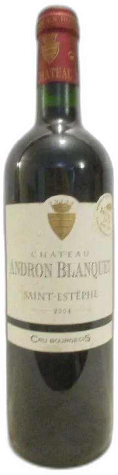 illustration du vin Château Andron Blanquet