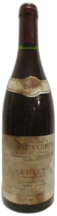 vue du vin Guyot-Verpiot b2