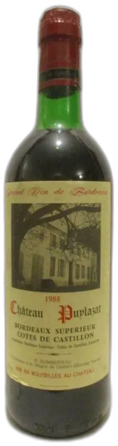 vue du vin Château Puylazat