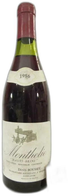 vue du vin Haut-Brins