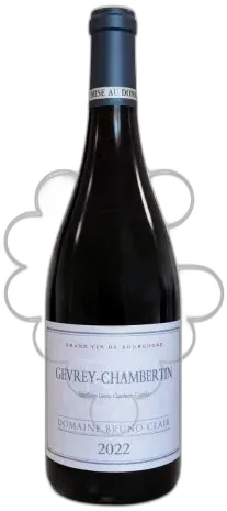 image du vin Gevrey-Chambertin