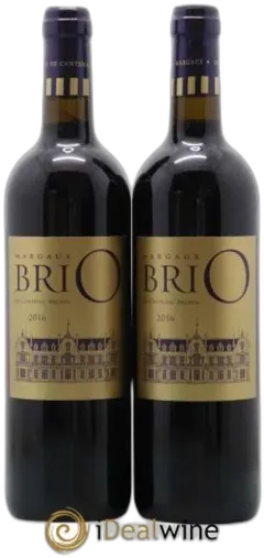 vue du vin Brio de Cantenac Brown