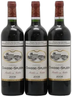 photo du vin Château Chasse Spleen