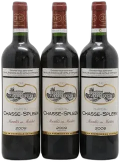 photo du vin Château Chasse Spleen
