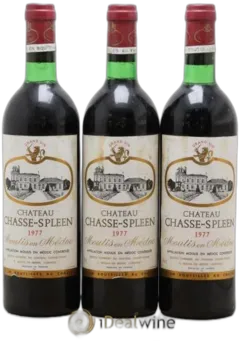 photo du vin Château Chasse Spleen
