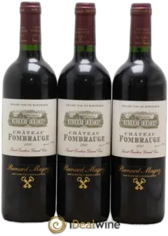 vue du vin Château Fombrauge