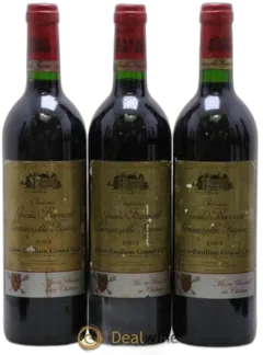 vue du vin Grand Barrail Lamarzelle Figeac