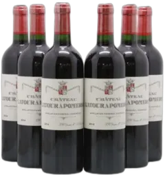 vue du vin Château Latour à Pomerol