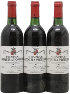 vue du vin Château Latour à Pomerol