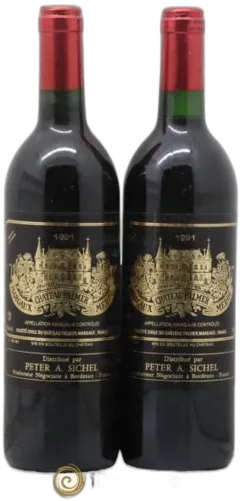 vue du vin Château Palmer