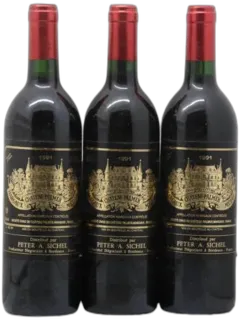 vue du vin Château Palmer