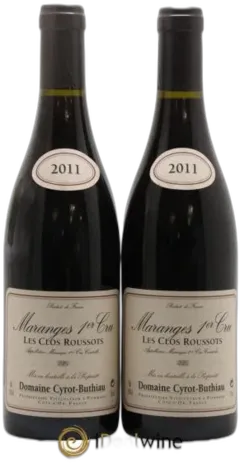 vue du vin Clos Roussots Cyrot-Buthiau