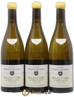 capture du vin Le Meix Cadot Vieilles Vignes