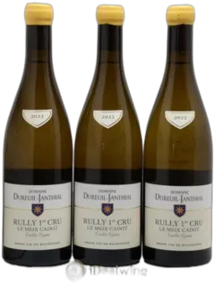 capture du vin Le Meix Cadot Vieilles Vignes