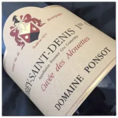 vue du vin Morey Saint Denis Cuvee des Alouettes