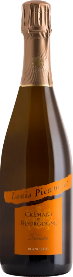 capture du vin Louis Picamelot de Bourgogne les Terroirs Brut