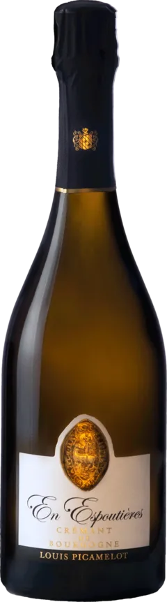 image du vin Louis Picamelot de Bourgogne Espoutieres 2020