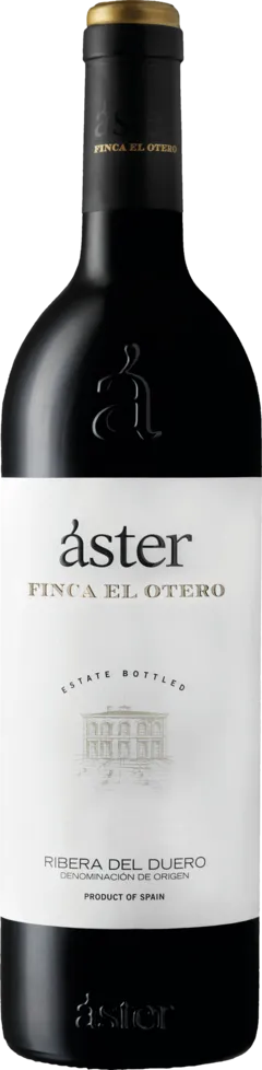 illustration du vin Aster Reserva 2022