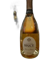 vue du vin Brice 1er Cru Extra Brut Blanc de Blanc