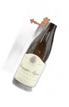 photo du vin Aligoté Emmanuel Rouget