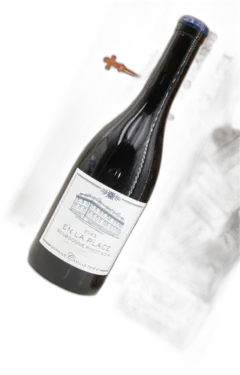 photo du vin en la Place Bourgogne Pinot Noir Domaine Camille Thiriet