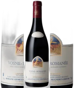 vue du vin Vosne Romanée 2019 Mugneret-Gibourg