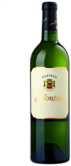 vue du vin Château Montus Pacherenc du Vic-Bilh Sec