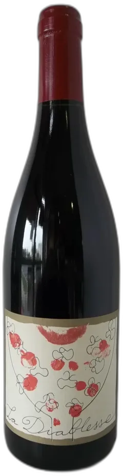 photos du vin Chinon Chateau de Coulaine 2023 'la Diablesse' Rouge