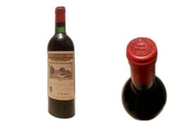 vue du vin Bel Orme Tronquoy de Lalande