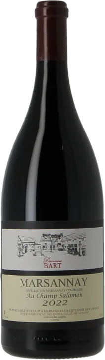 vue du vin Marsannay les Champs Salomon