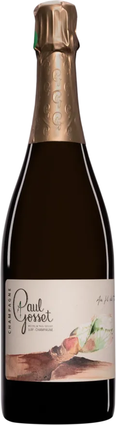 vue du vin Extra-Brut "au Fil des Temps : le Printemps