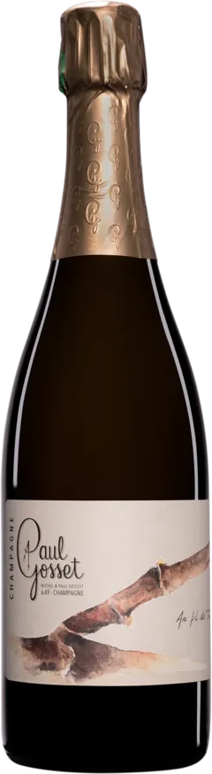 vue du vin Extra-Brut Blanc de Noirs "au Fil des Temps : Hiver