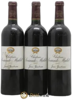 photo du vin Château Sociando Mallet