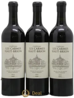 vue du vin Château les Carmes Haut-Brion